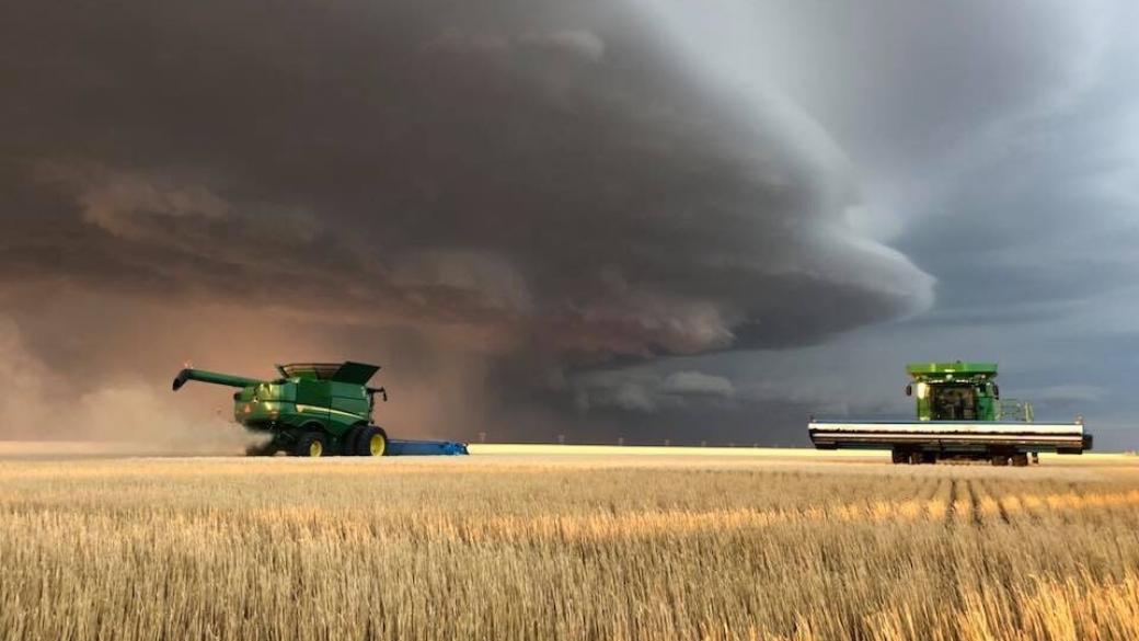 Войната на Русия срина износа на украинска пшеница с 80%