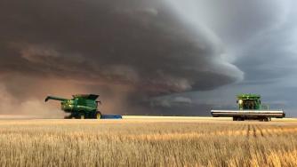 Войната на Русия срина износа на украинска пшеница с 80%