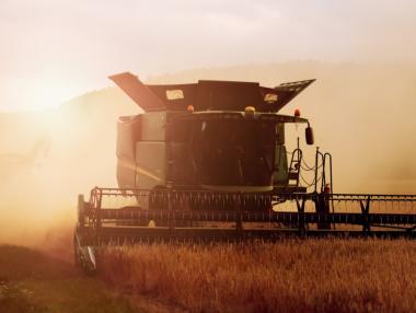 Биогоривата подхранват продоволствената криза