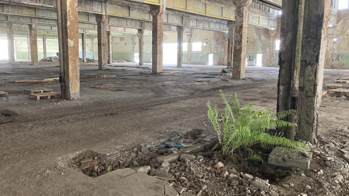 Галерия :: Снимка 1 :: ГБС изгради най-голямата мебелна фабрика в Ямбол}