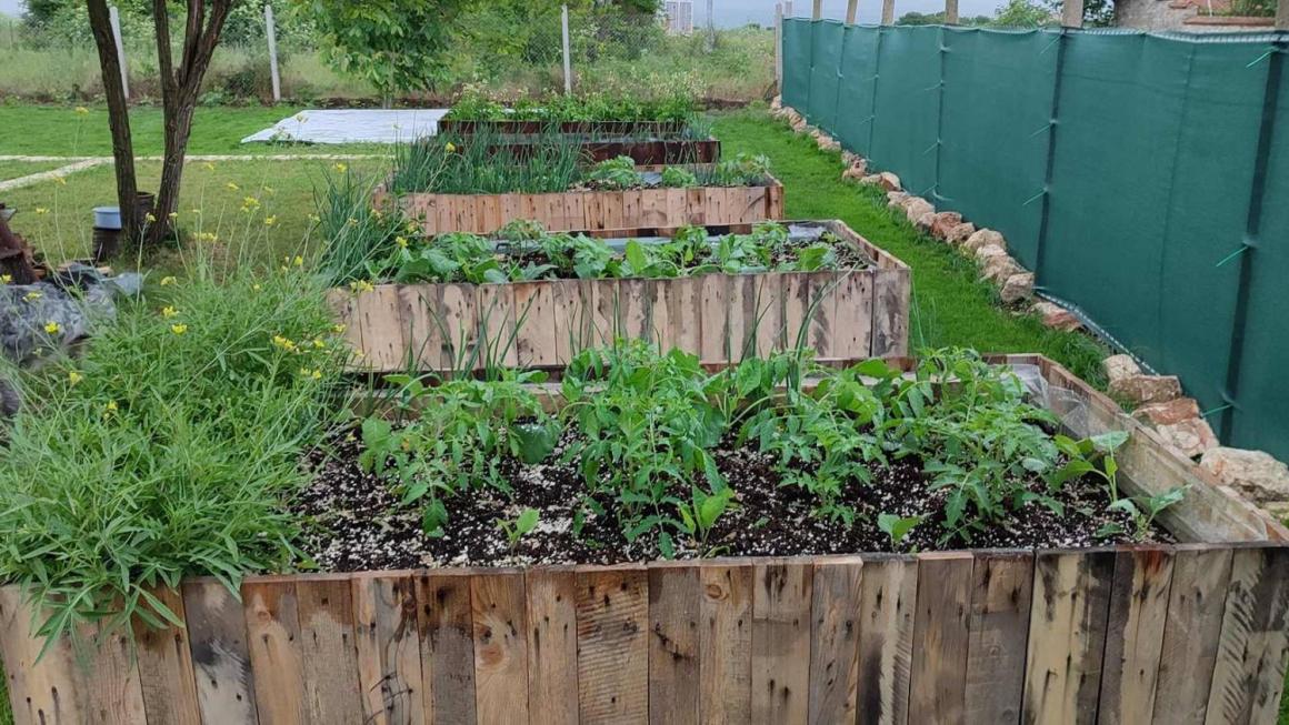 Галерия :: Снимка 6 :: Близо до природата: Глемпинг зона в Тюленово отвори врати}