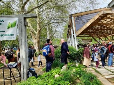 Семената на живота