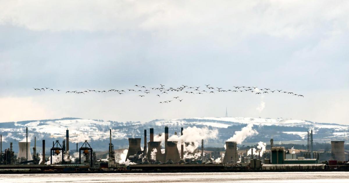 Frog, британски производител на детски велосипеди, се радваше на непрекъснат