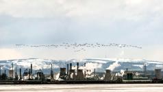 Frog британски производител на детски велосипеди се радваше на непрекъснат