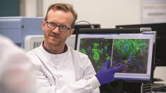 Пълните резултати от едногодишното проучване показват че пълнолетните пушачи които