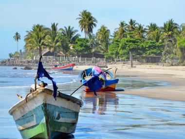 Символ на глупостта: Или какво стана с мегапроекта за първия биткойн град