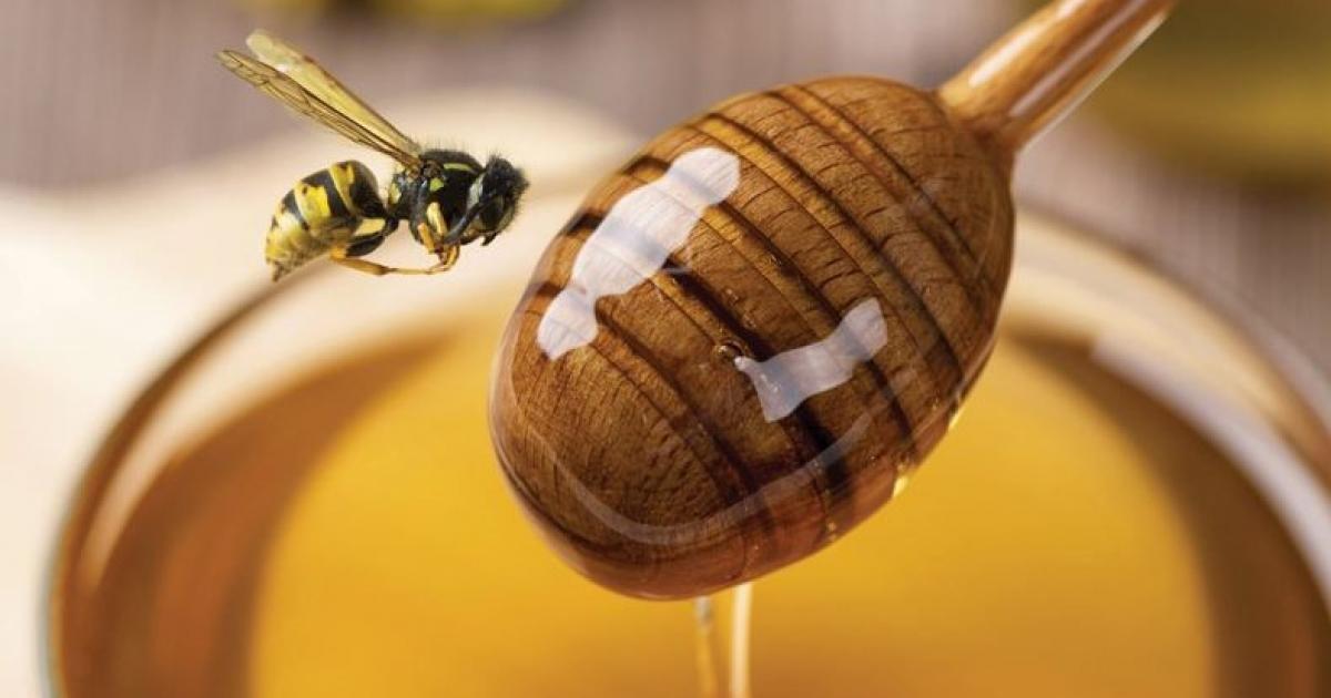 Няколко са причините българските мед, пчелни суперхрани, козметика все още