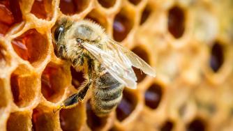 Бизнес по мед и...жило