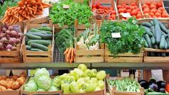 Еманюел Льофевр произвежда хиляди тонове ендивия годишно във фермата си