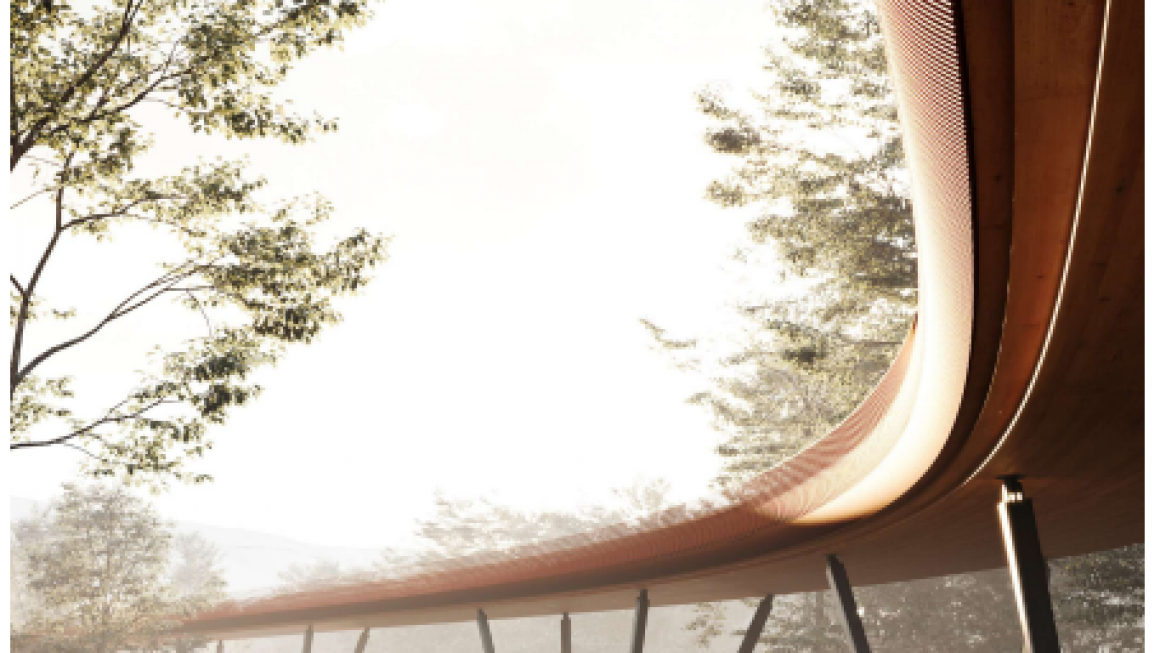 Галерия :: Снимка 1 :: Чешко студио спечели конкурса за пешеходен мост в Южния парк (снимки)}