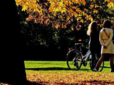 Чешко студио спечели конкурса за пешеходен мост в Южния парк (снимки)