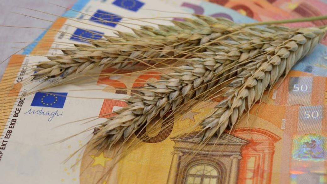 „Агринайзър“ пренарежда търговията със зърно
