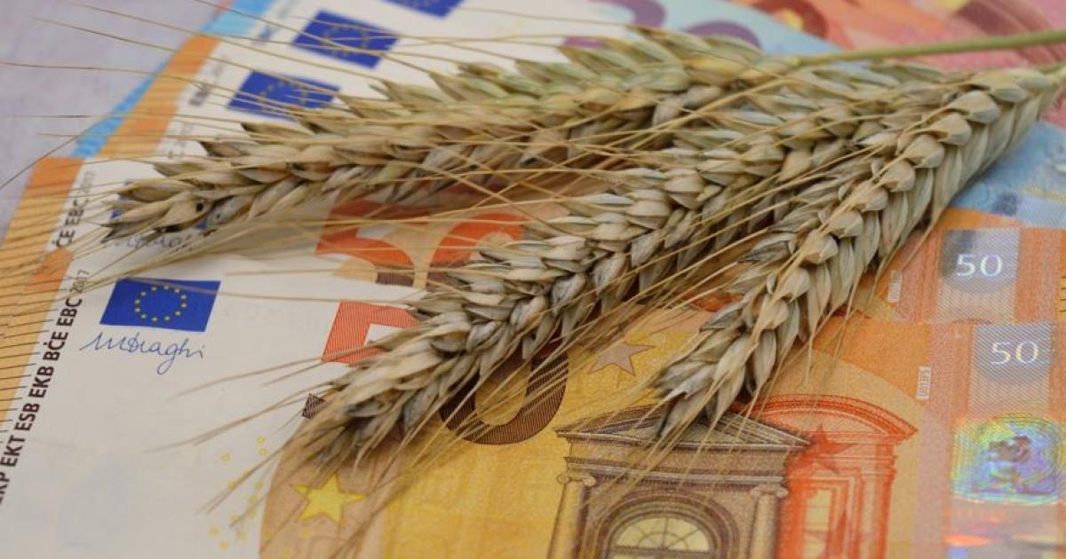 Агринайзър е поредната компания, създадена, за да реши конкретен проблем