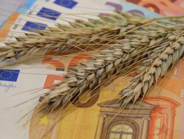 „Агринайзър“ пренарежда търговията със зърно