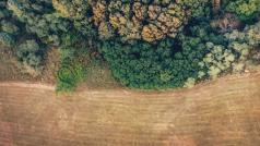 Фондът Bezos Earth Fund създаден от основателя на Amazon Джеф