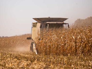 Русия е съгласна да удължи сделката за украинското зърно