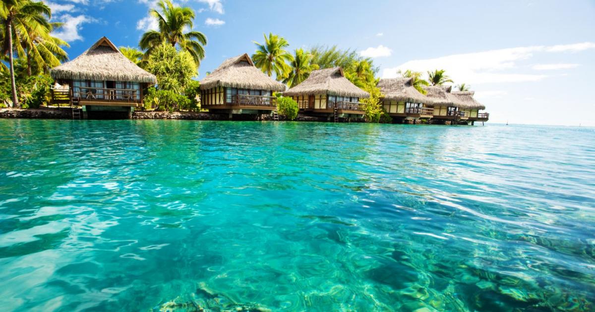 Фалиралата криптоборса FTX, родителите на нейния основател и директор Сам