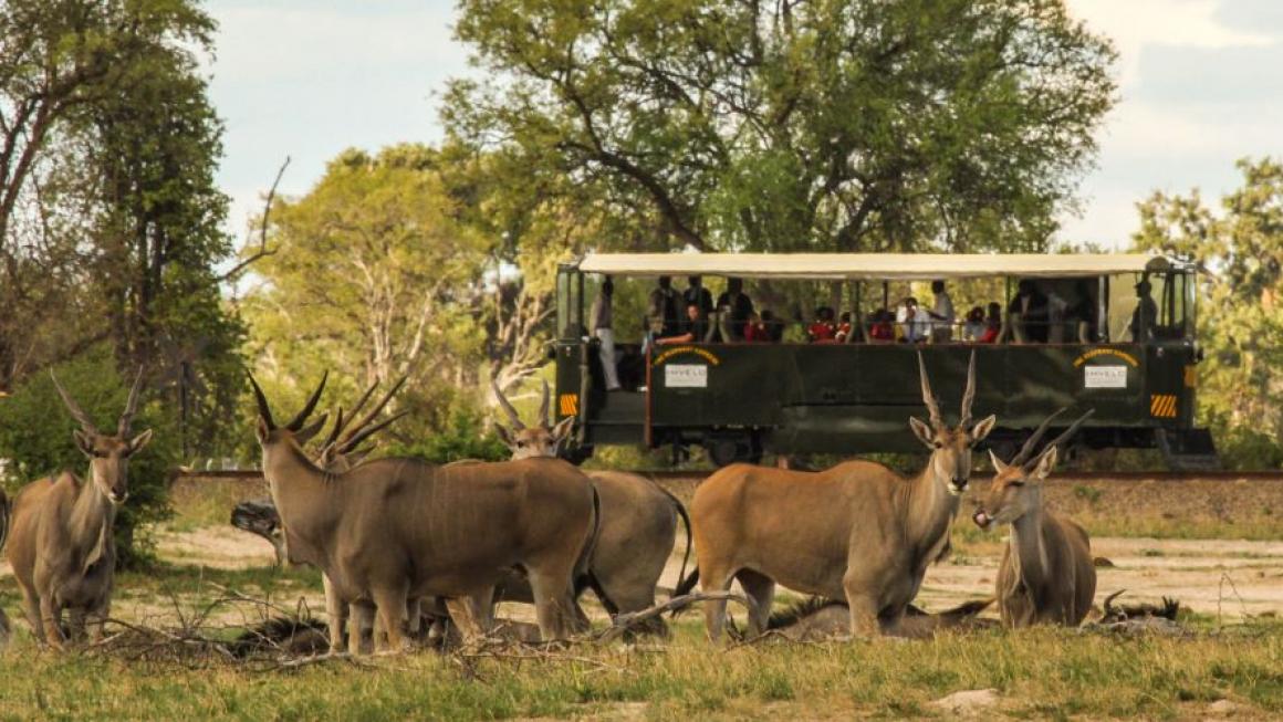 Галерия :: Снимка 4 :: Elephant Express: Сафари с влак в Африка (Снимки)}