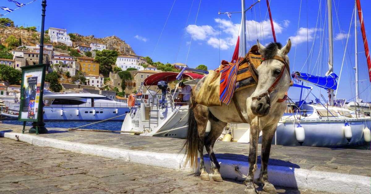 Гръцкият остров Хидра е уникално място, но не само заради