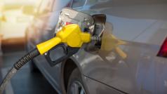 През последната година всички европейски държави претърпяха значително повишаване на