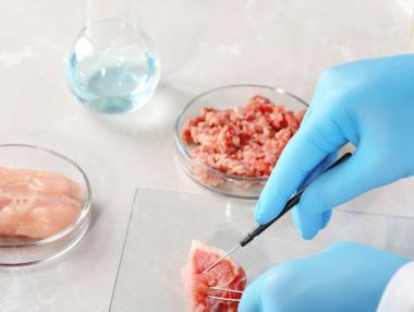 Лабораторното месо може да е по масите още тази година