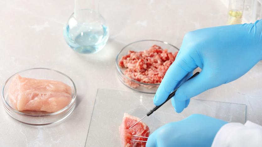 Лабораторното месо може да е по масите още тази година