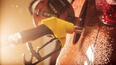 Лидерите на страните от ЕС Г 7 САЩ и Австралия се