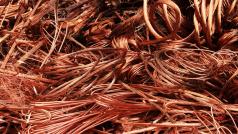 Дефицит на мед се очаква да залее глобалните пазари през