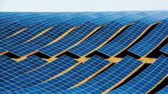 Възобновяемите енергийни източници ще доминират растежа на световното снабдяване с