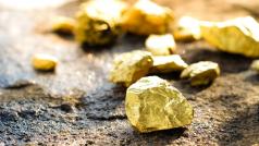 Приходите на канадската златодобивна компания Dundee Precious Metals от дейността