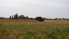 Правителството одобри петнадесето изменение на Програмата за развитие на селските