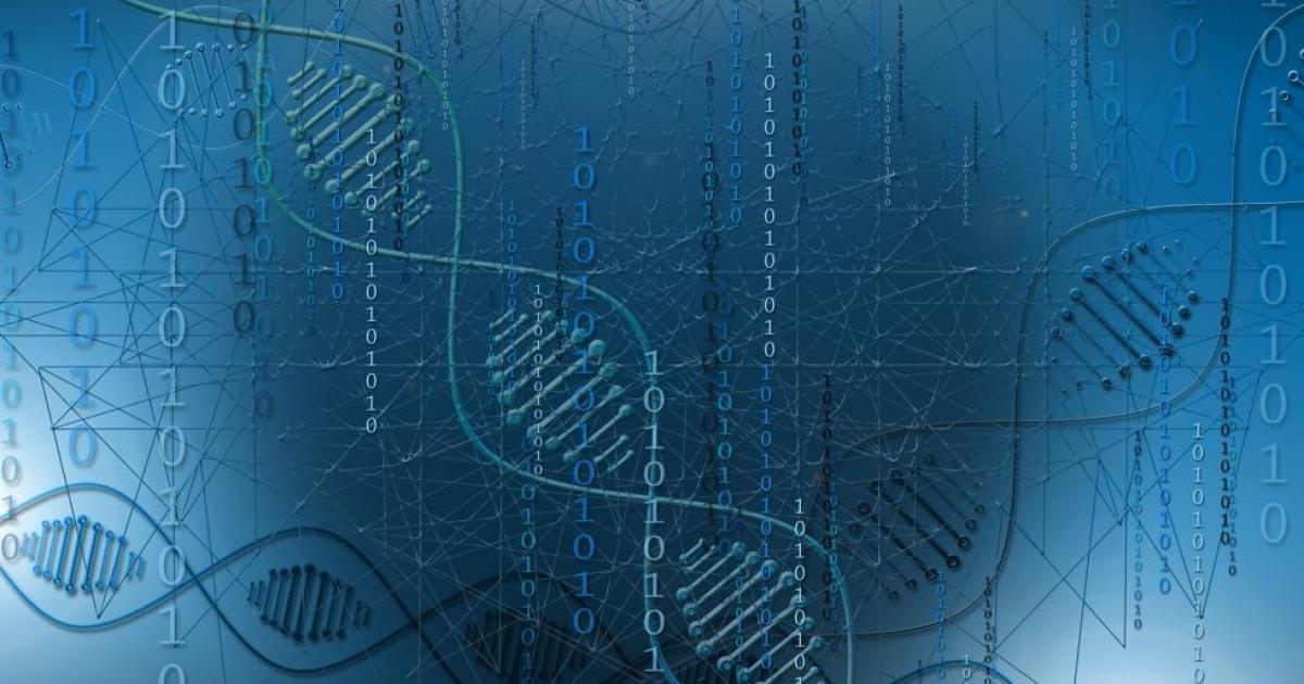 Доброто здраве не е даденост. То е резултат от ежедневна