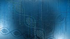 Доброто здраве не е даденост То е резултат от ежедневна