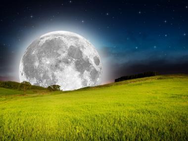 Възможно ли е земеделие на Луната?