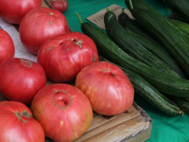 Доматите в България ще поскъпнат след забраната за износ от Турция
