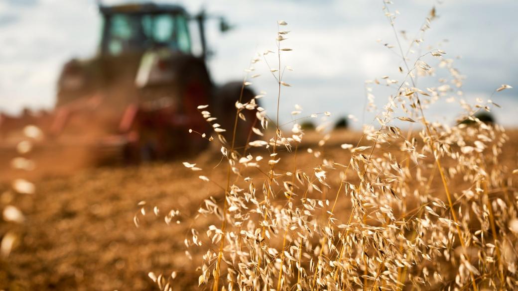 ЕК ще компенсира българските фермери с 16 млн. евро заради зърното от Украйна