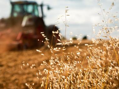 ЕК ще компенсира българските фермери с 16 млн. евро заради зърното от Украйна