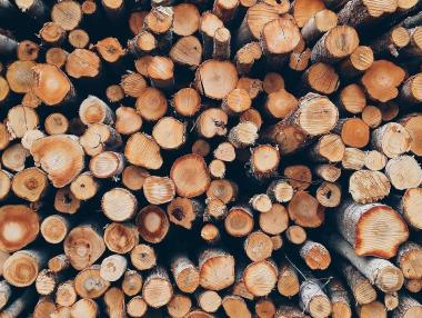 Руската „Сегежа“ разпродава заводите си в Европа