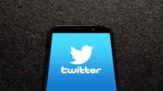 Главният изпълнителен директор на Twitter Inc Илон Мъск каза в