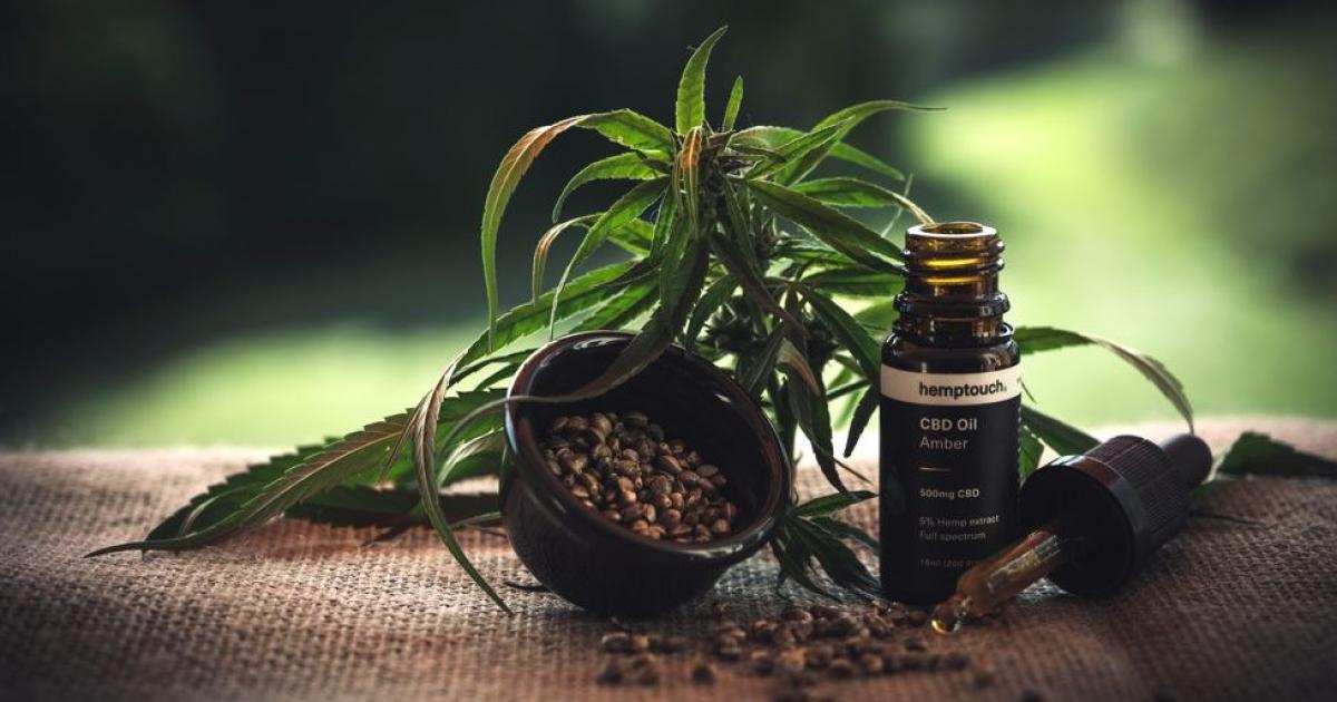 Преди и сегаКонопът е познат преди повече от 10 000