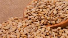 Френската компания Малтери Суфле България инвестира в нов завод в