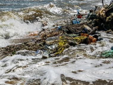Тихоокеанското сметище се превърна в дом на крайбрежна екосистема