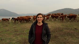 Кое е общото между инфлуенсърите и администрацията? Кабинетът „Денков“