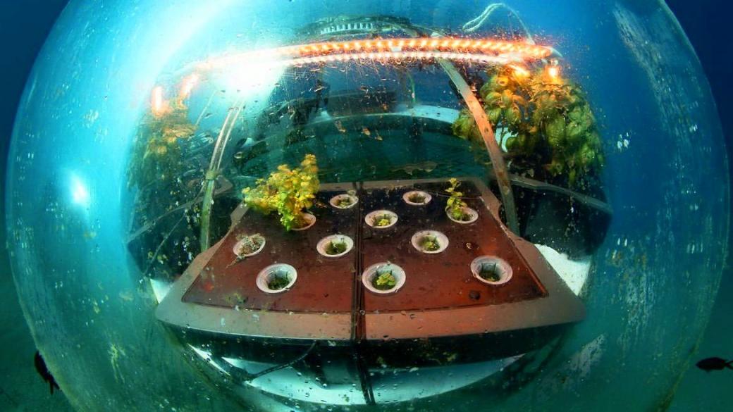 „Градината на Немо“: Бъдещето на земеделието е в морето?