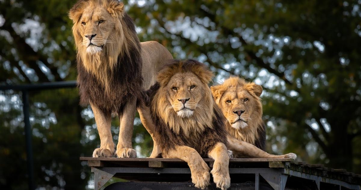 На новите служители в едни от най-популярните американски консултантски компании,