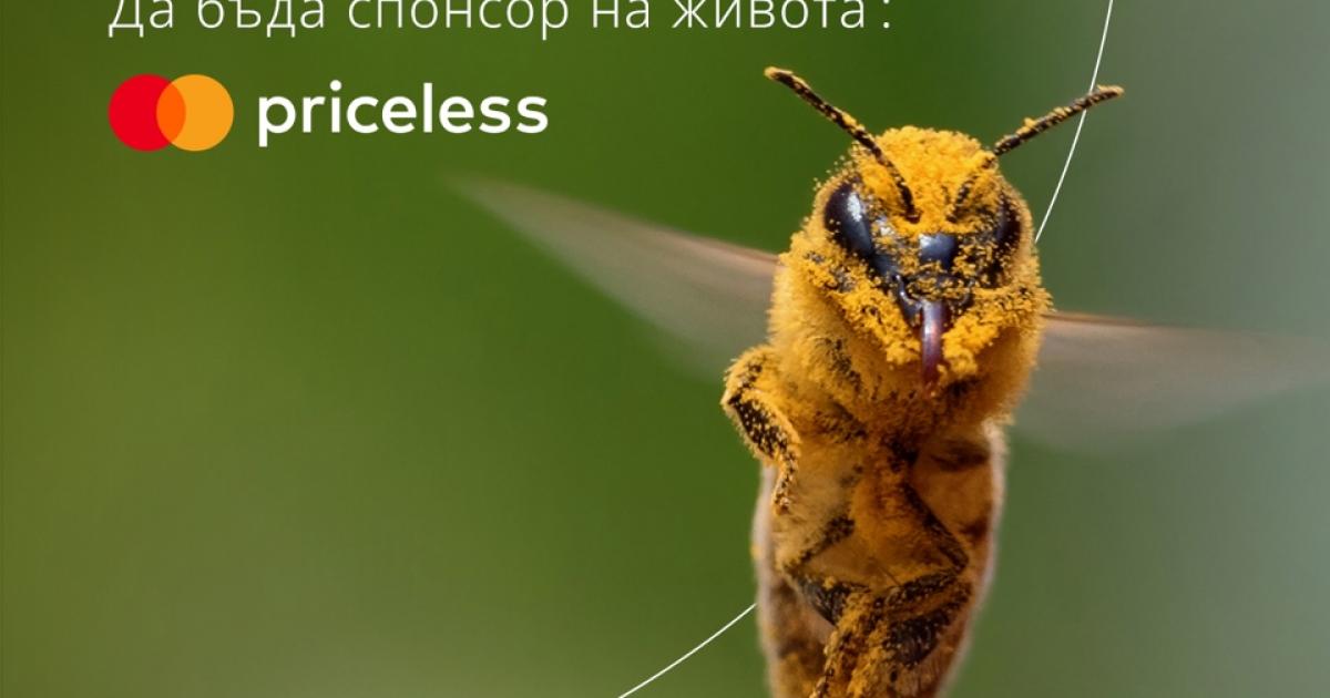 Мотивирани от нуждата за спешна подкрепа за пчеларския отрасъл у