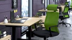 Правилната позиция на тялото е от изключително значение за здравето