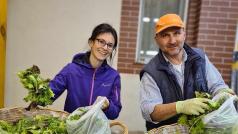 Чиста храна възстановена почва заздравяване на връзката с природата Към