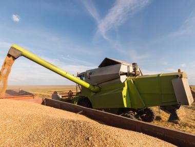 Производителите на зърно в Източна Европа са изправени пред перфектната буря