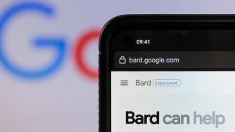 Повече пингвини, отколкото европейци могат да използват чатбота на Google